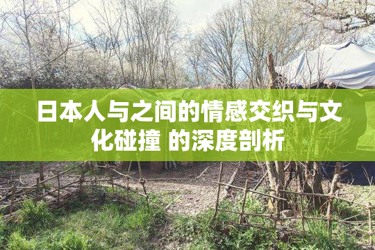 日本人与之间的情感交织与文化碰撞 的深度剖析