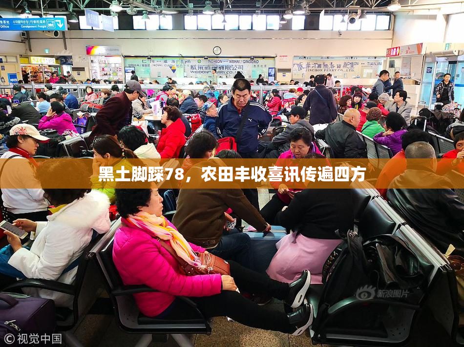 黑土脚踩78，农田丰收喜讯传遍四方
