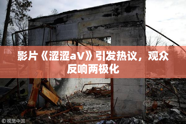 影片《涩涩aV》引发热议，观众反响两极化