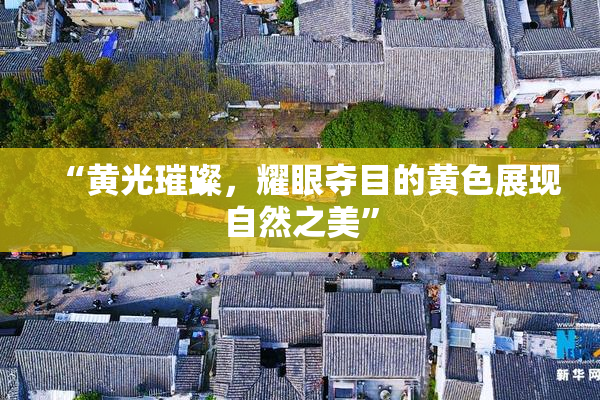 “黄光璀璨，耀眼夺目的黄色展现自然之美”
