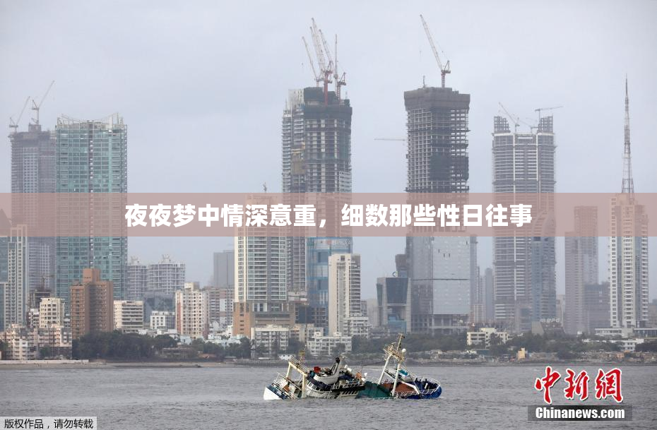 夜夜梦中情深意重，细数那些性日往事