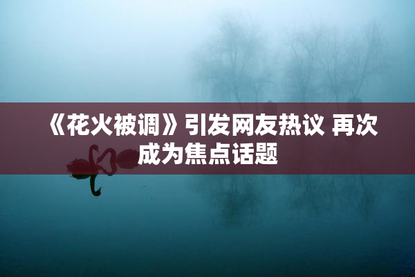 《花火被调》引发网友热议 再次成为焦点话题