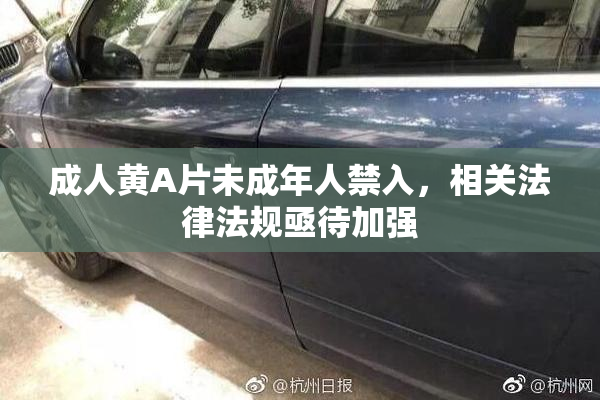 成人黄A片未成年人禁入，相关法律法规亟待加强