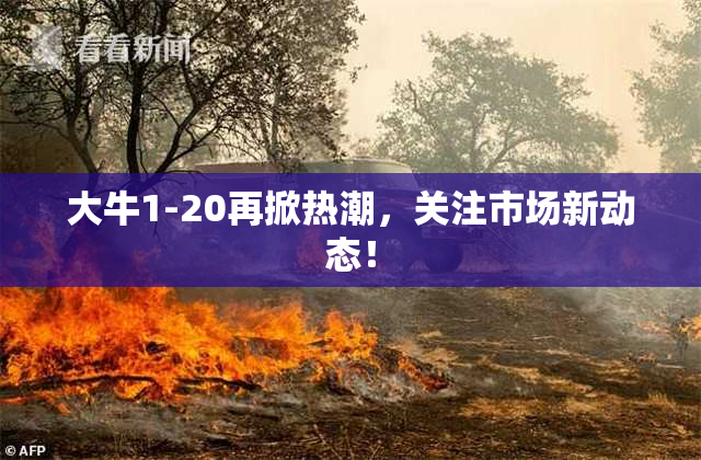 大牛1-20再掀热潮，关注市场新动态！
