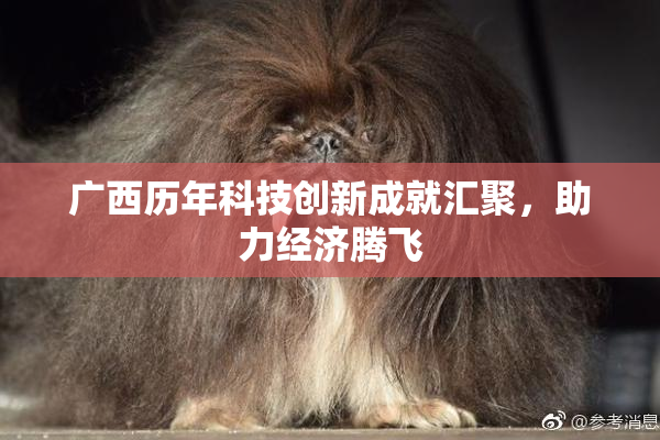 广西历年科技创新成就汇聚，助力经济腾飞