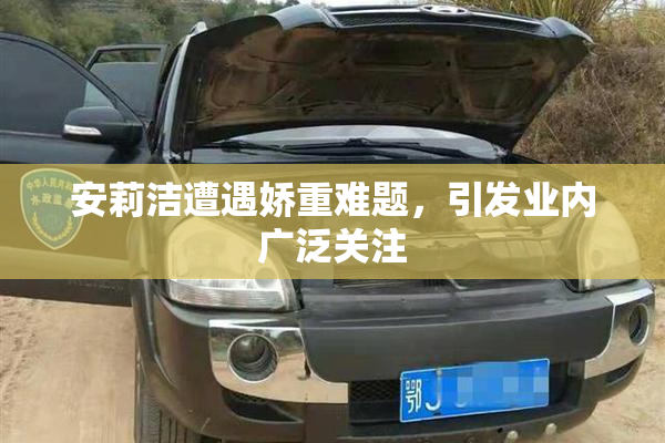 安莉洁遭遇娇重难题，引发业内广泛关注
