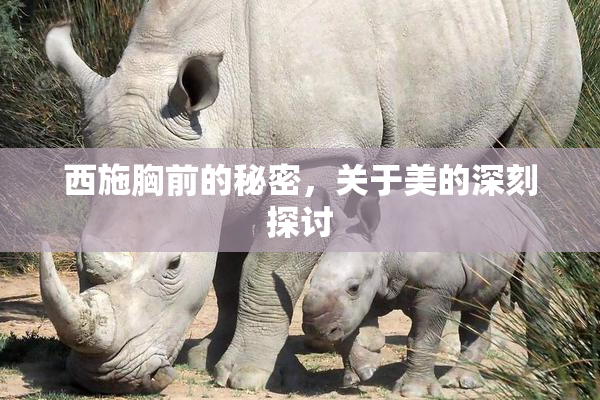西施胸前的秘密，关于美的深刻探讨