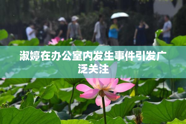 淑婷在办公室内发生事件引发广泛关注