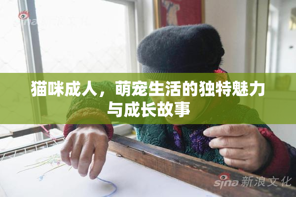 猫咪成人，萌宠生活的独特魅力与成长故事