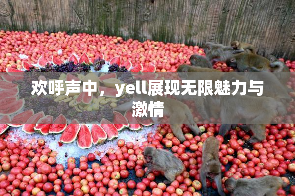 欢呼声中，yell展现无限魅力与激情