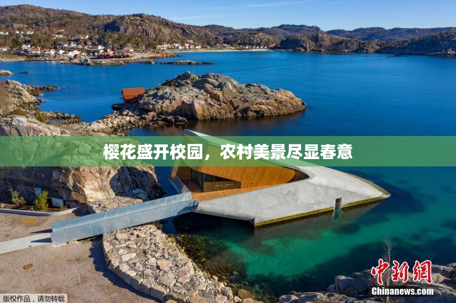 樱花盛开校园，农村美景尽显春意