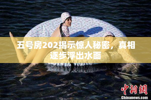 五号房202揭示惊人秘密，真相逐步浮出水面