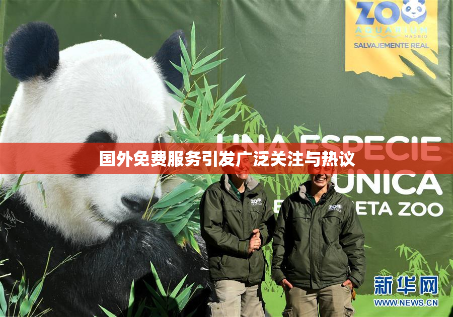 国外免费服务引发广泛关注与热议