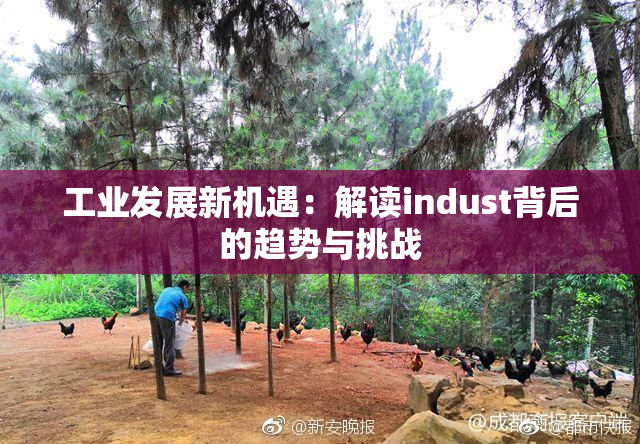 工业发展新机遇：解读indust背后的趋势与挑战