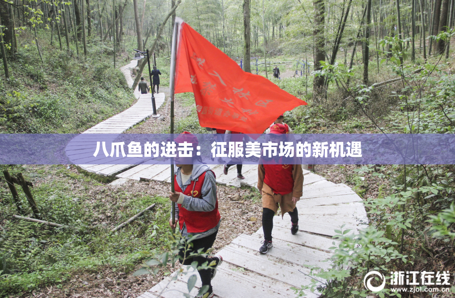 八爪鱼的进击：征服美市场的新机遇