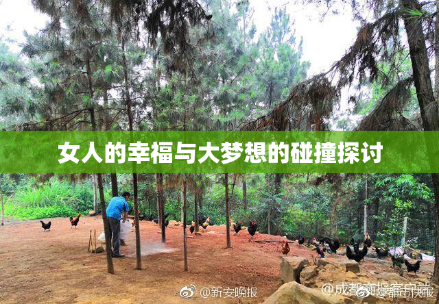 女人的幸福与大梦想的碰撞探讨