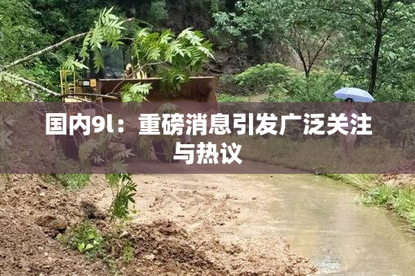 国内9l：重磅消息引发广泛关注与热议