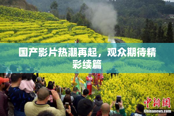 国产影片热潮再起，观众期待精彩续篇