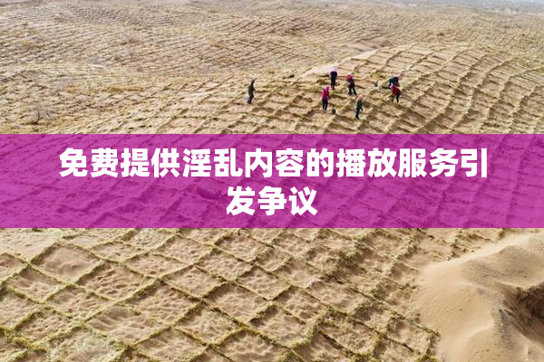 免费提供淫乱内容的播放服务引发争议