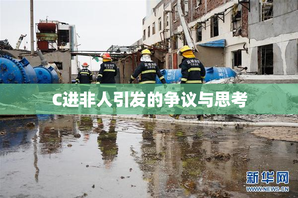C进非人引发的争议与思考