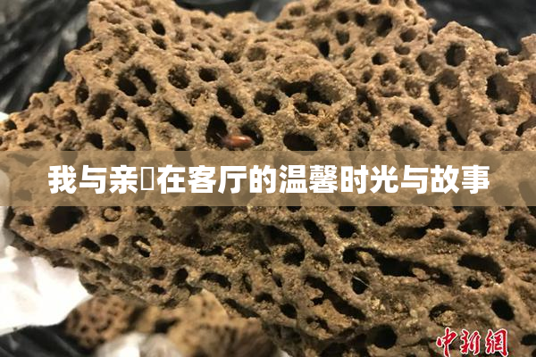 我与亲妺在客厅的温馨时光与故事