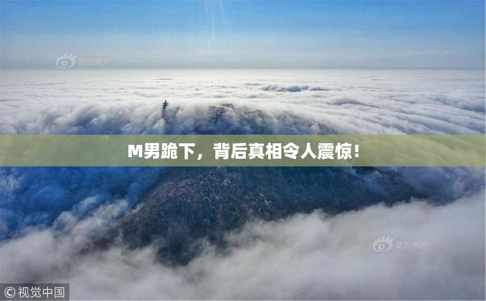 M男跪下，背后真相令人震惊！