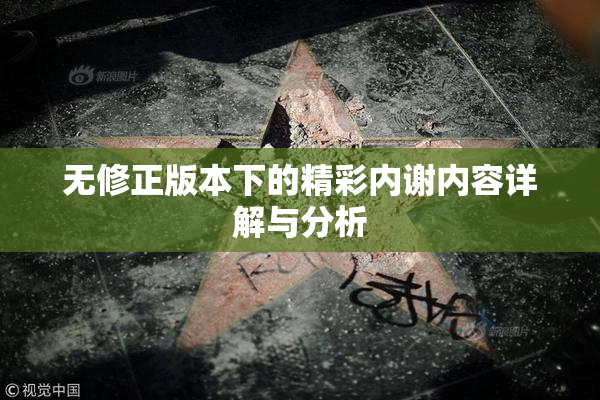 无修正版本下的精彩内谢内容详解与分析