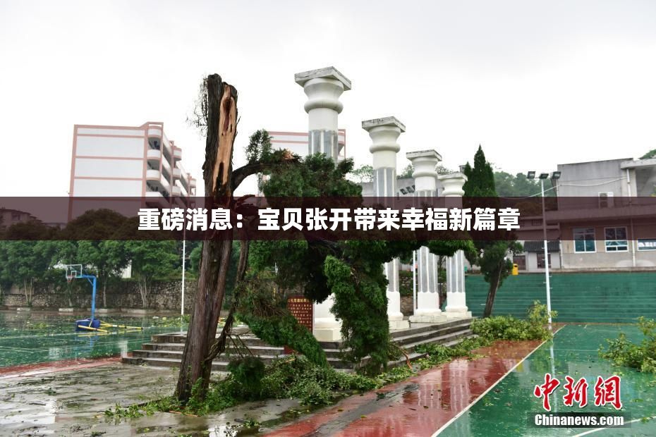 重磅消息：宝贝张开带来幸福新篇章