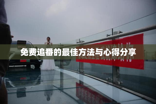 免费追番的最佳方法与心得分享