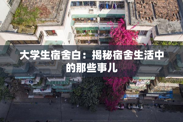 大学生宿舍白：揭秘宿舍生活中的那些事儿