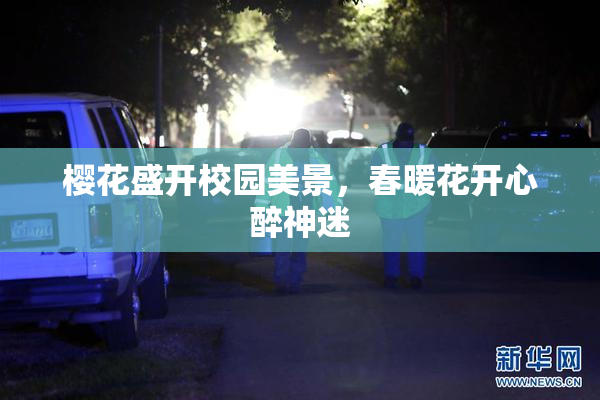 樱花盛开校园美景，春暖花开心醉神迷
