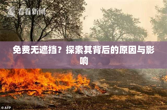 免费无遮挡？探索其背后的原因与影响