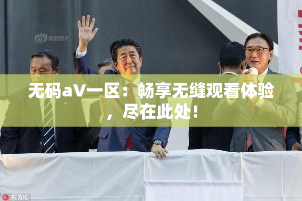 无码aV一区：畅享无缝观看体验，尽在此处！