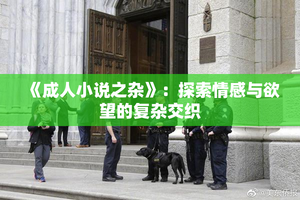 《成人小说之杂》：探索情感与欲望的复杂交织