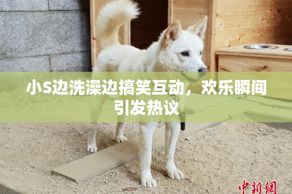 小S边洗澡边搞笑互动，欢乐瞬间引发热议