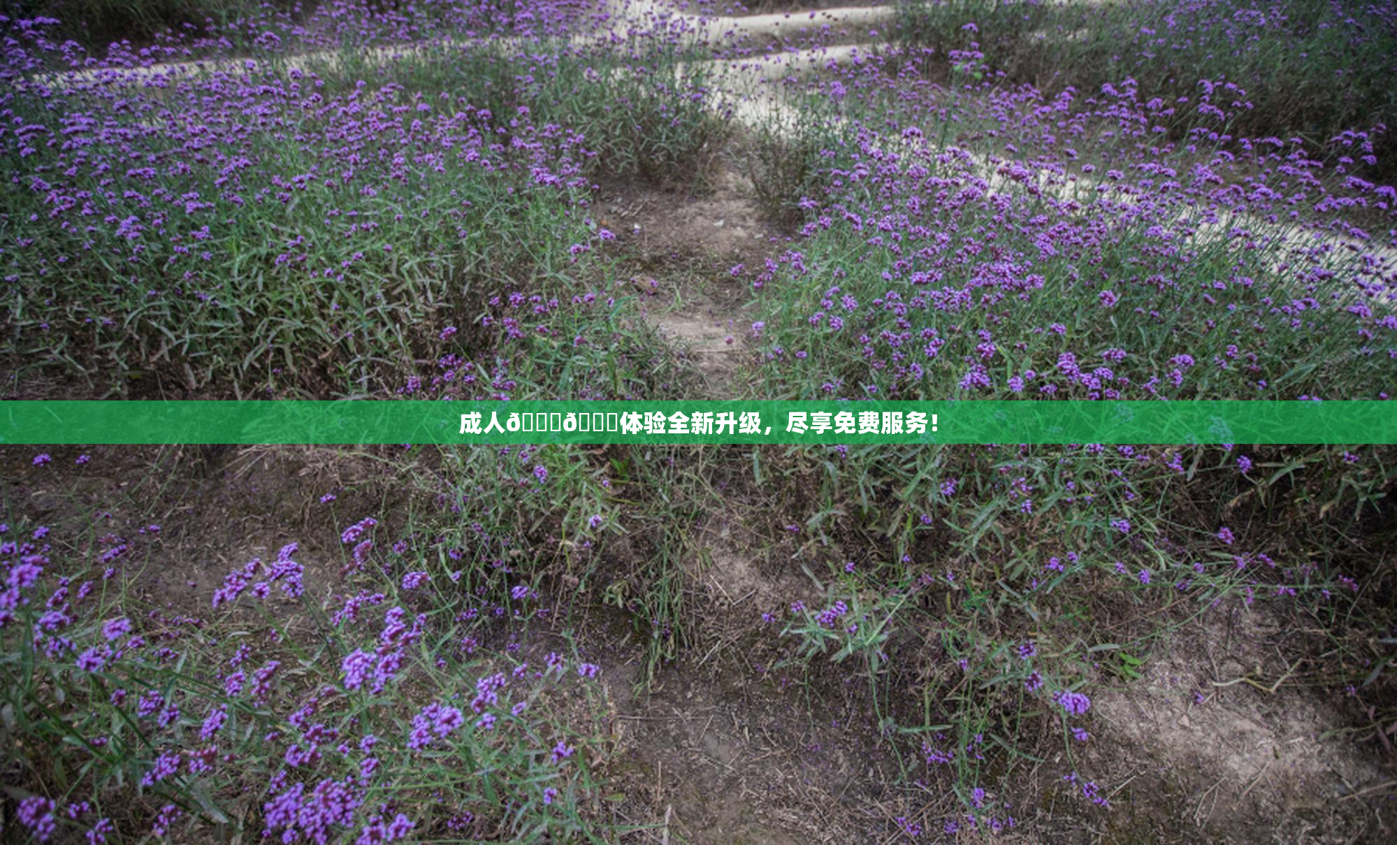 成人🍆🍑体验全新升级，尽享免费服务！