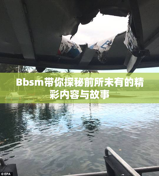 Bbsm带你探秘前所未有的精彩内容与故事
