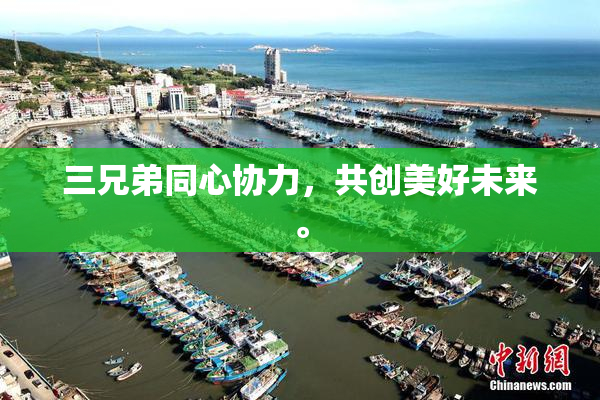 三兄弟同心协力，共创美好未来。