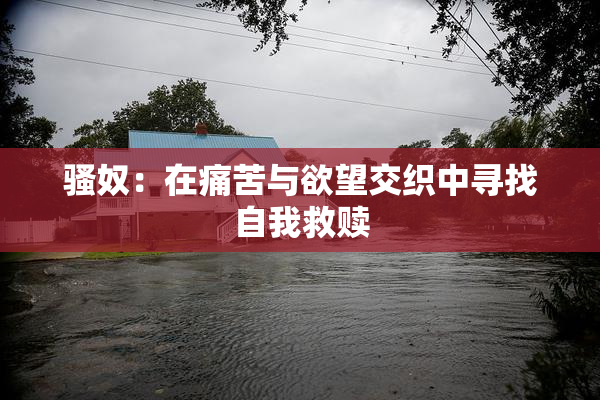 骚奴：在痛苦与欲望交织中寻找自我救赎