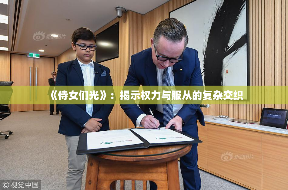 《侍女们光》：揭示权力与服从的复杂交织