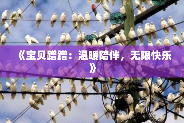 《宝贝蹭蹭：温暖陪伴，无限快乐》
