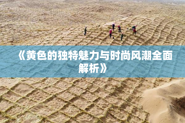 《黄色的独特魅力与时尚风潮全面解析》