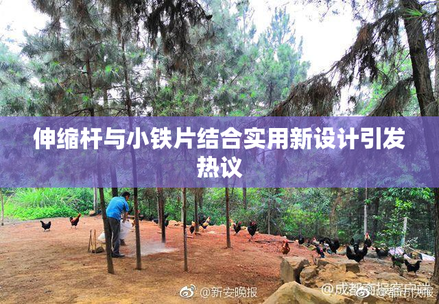 伸缩杆与小铁片结合实用新设计引发热议