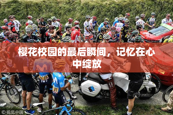樱花校园的最后瞬间，记忆在心中绽放
