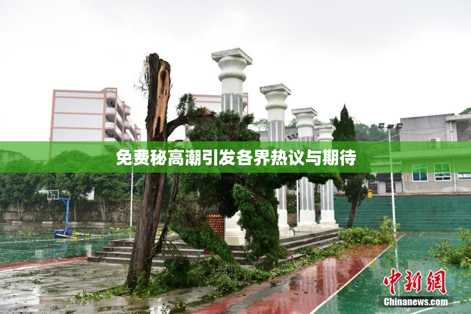 免费秘高潮引发各界热议与期待
