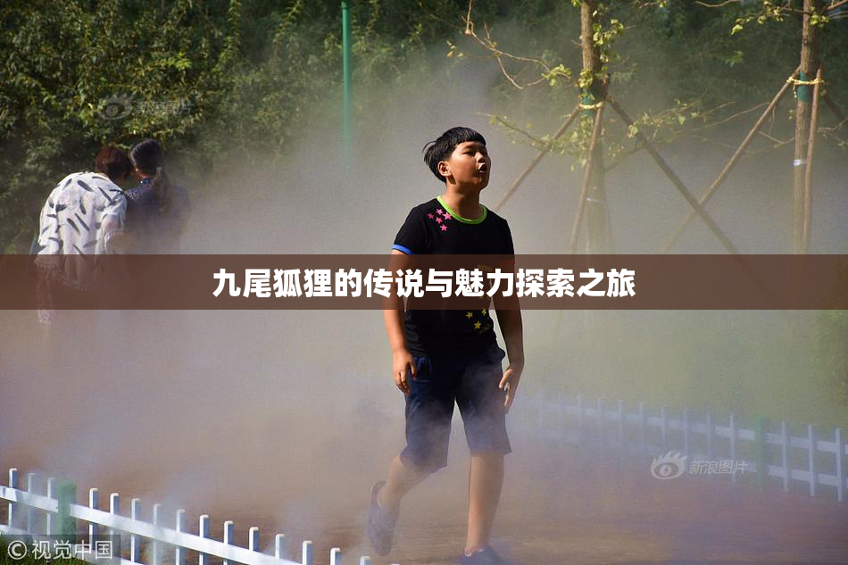 九尾狐狸的传说与魅力探索之旅