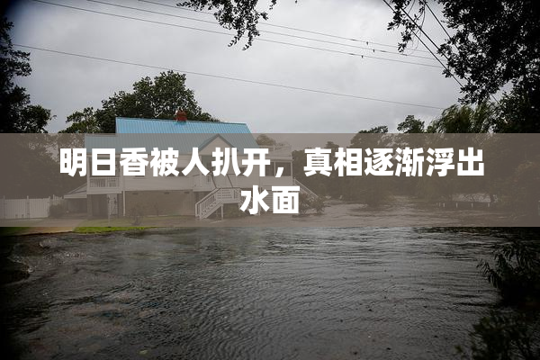 明日香被人扒开，真相逐渐浮出水面