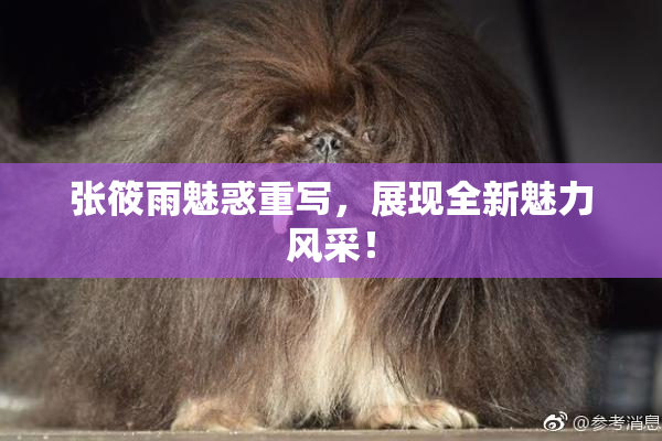 张筱雨魅惑重写，展现全新魅力风采！