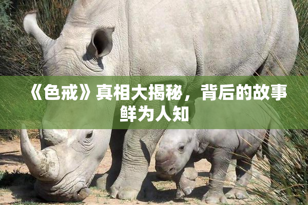 《色戒》真相大揭秘，背后的故事鲜为人知