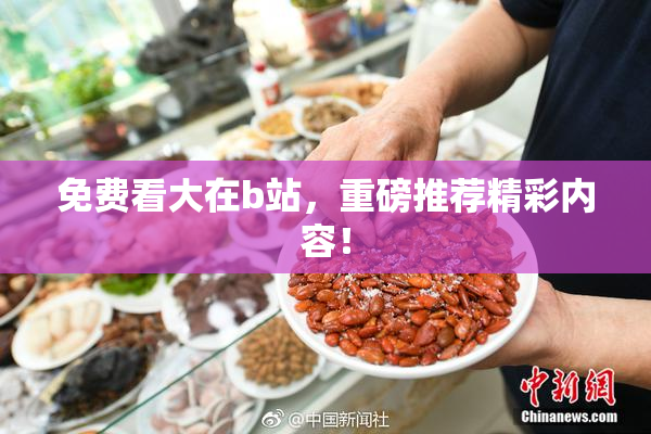 免费看大在b站，重磅推荐精彩内容！